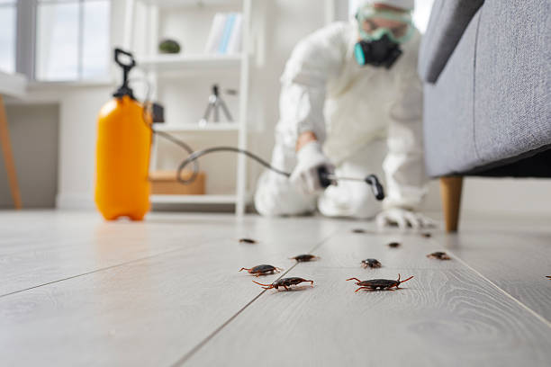 Commercial Kitchen Cockroach Control in North Vacherie